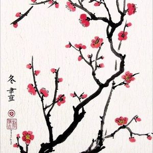 Meet your Posher, Adalyn